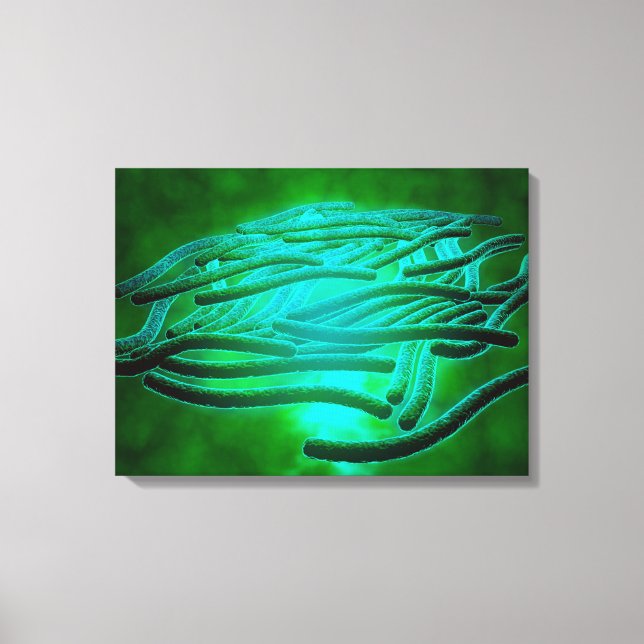 Microscopic View Of Legionella Pneumophila 1 Canvas Print (Front)