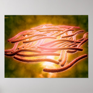 Microscopic View Of Legionella Pneumophila 2 Poster