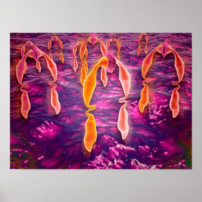 Microscopic View Of Ligand Binding To A Receptor Poster (Front)