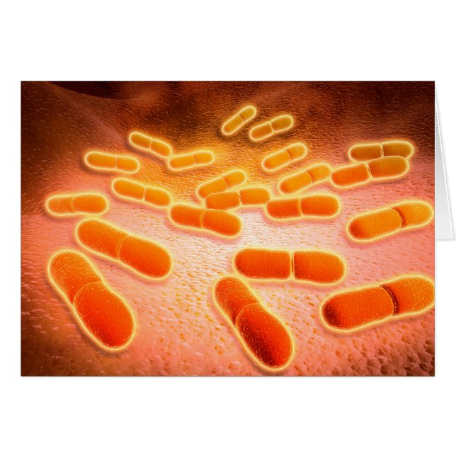 Microscopic View Of Listeria Monocytogenes 1 (Front Horizontal)