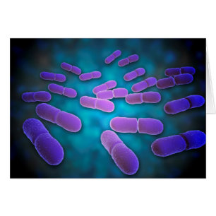 Microscopic View Of Listeria Monocytogenes 5