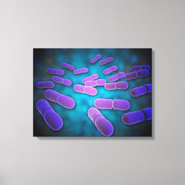 Microscopic View Of Listeria Monocytogenes 5 Canvas Print (Front)