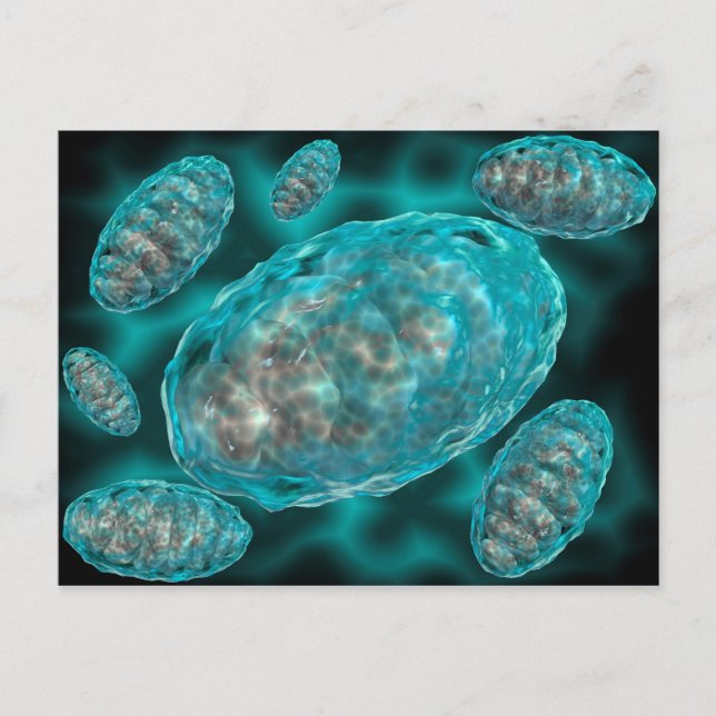Microscopic View Of Mitochondria 2 Postcard (Front)