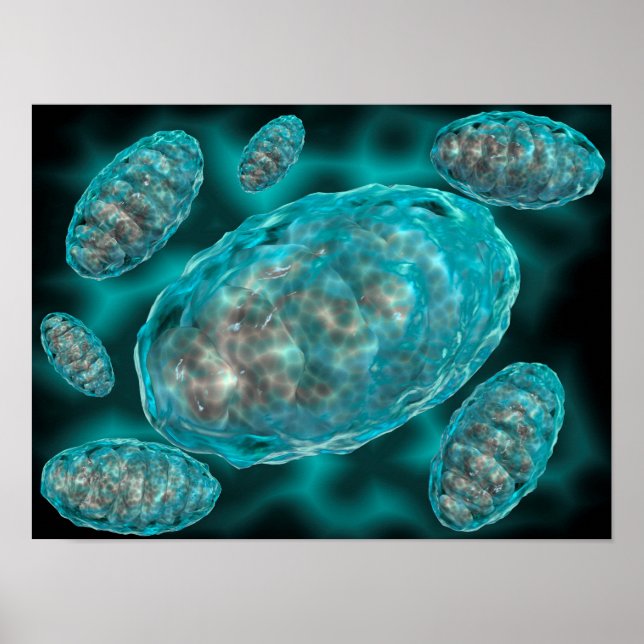 Microscopic View Of Mitochondria 2 Poster (Front)