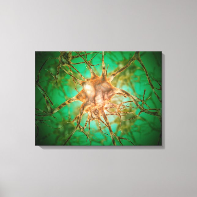 Microscopic View Of Multiple Nerve Cells 1 Canvas Print (Front)