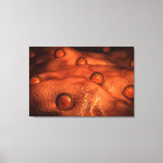 Microscopic View Of Ovules Canvas Print (Front)