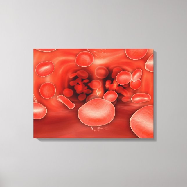 Microscopic View Of Red Blood Cells Flowing Canvas Print (Front)