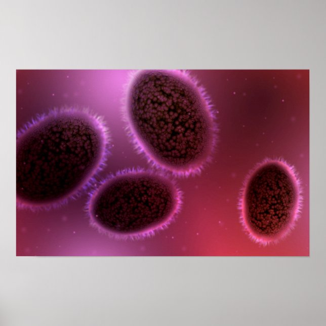 Microscopic View Of Samllpox 2 Poster (Front)
