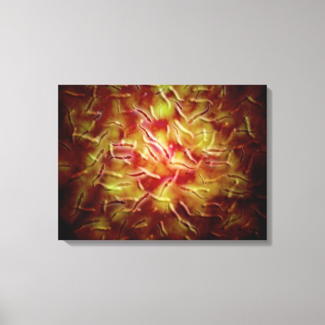 Microscopic View Of Sperm Canvas Print (Front)