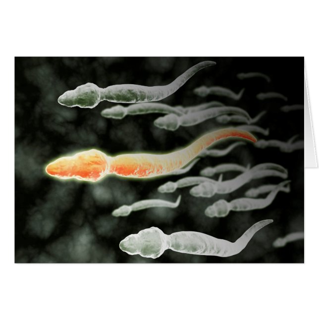 Microscopic View Of Sperm Travelling (Front Horizontal)