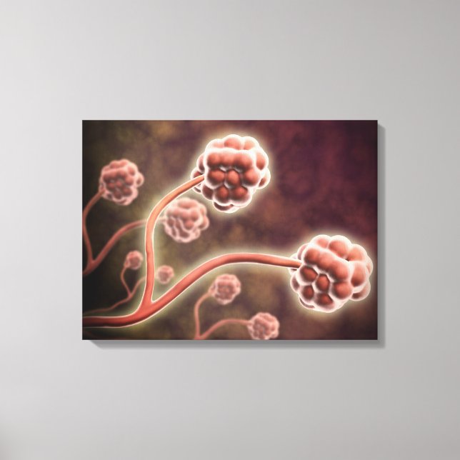 Microscopic View Of Stachybotrys Chartarum Canvas Print (Front)