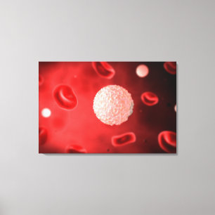 Microscopic View Of White Blood Cells Canvas Print
