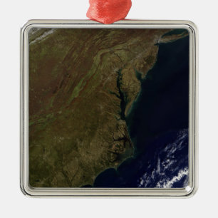Mid-Atlantic United States Metal Tree Decoration