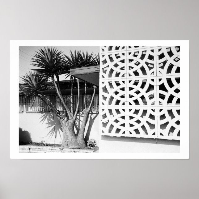 Mid-Century Garden Poster (Front)