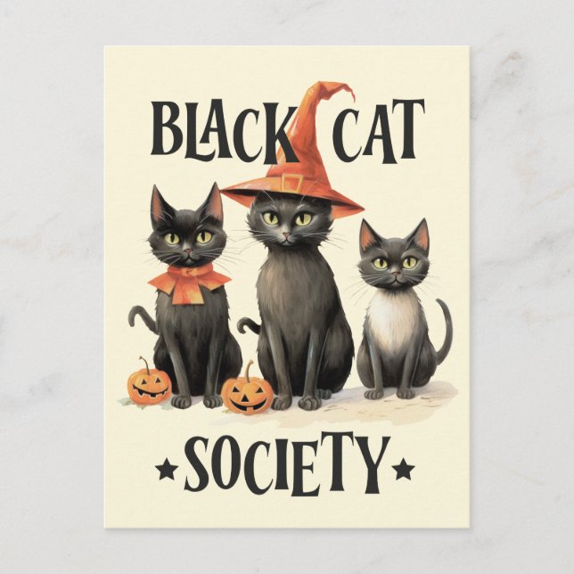 Mid-Century Vintage Style Black Cat Society  Postcard (Front)