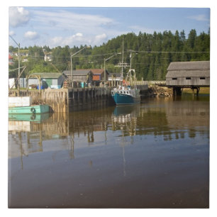 Mid tide at the Bay of Fundy at St. Martins, New Tile