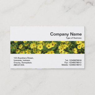 Middle Band - Yellow Daisies Business Card