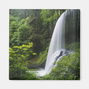 Middle North falls, Silver Falls State Park, Magnet