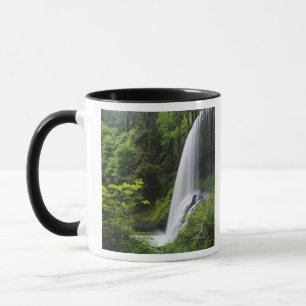Middle North falls, Silver Falls State Park, Mug