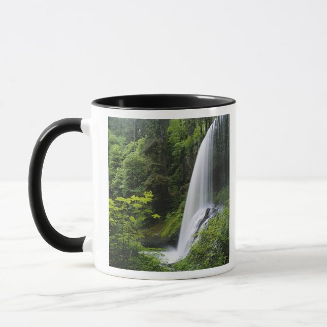 Middle North falls, Silver Falls State Park, Mug (Left)