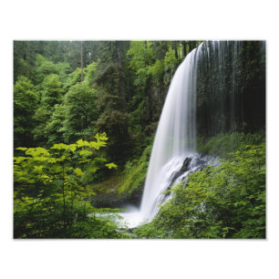 Middle North falls, Silver Falls State Park, Photo Print