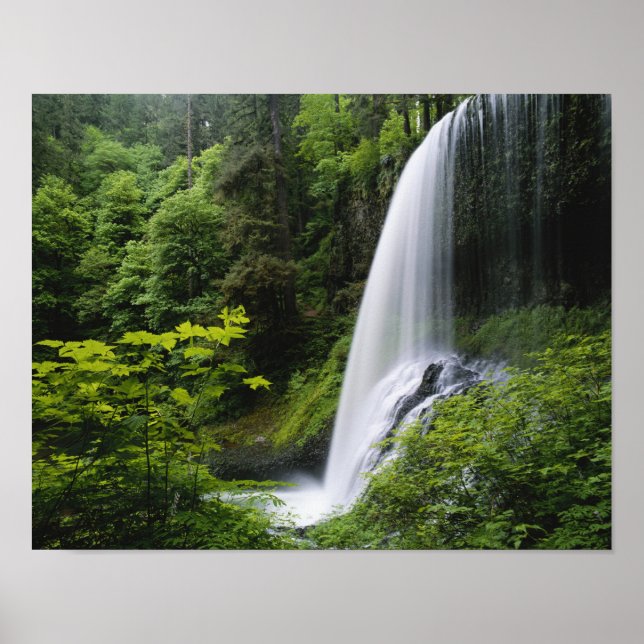 Middle North falls, Silver Falls State Park, Poster (Front)