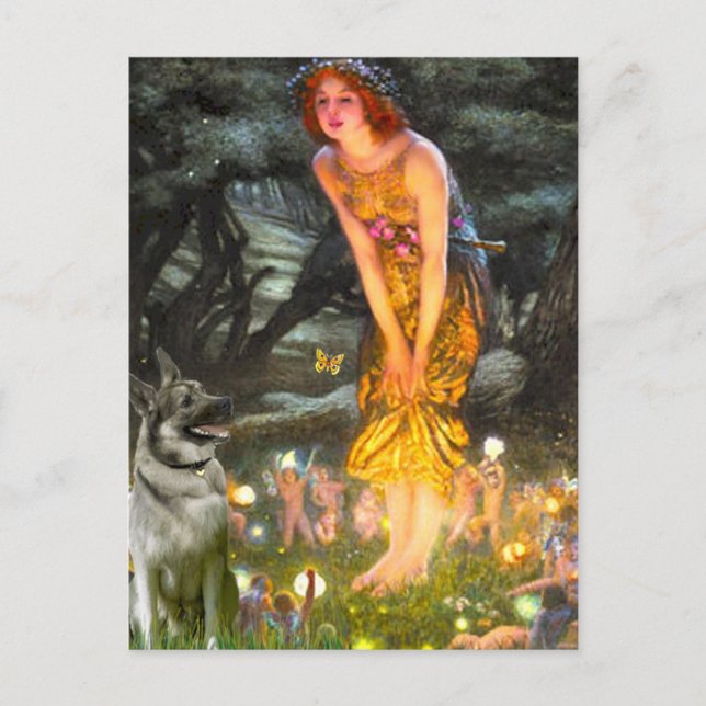 MidEve - Norwegian Elkhound Postcard (Front)