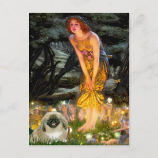 MidEve - Pekingese 1b Postcard