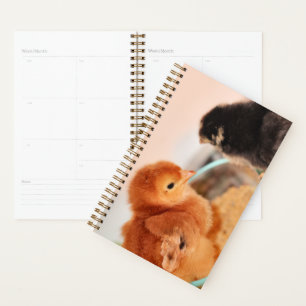 Midge Planner