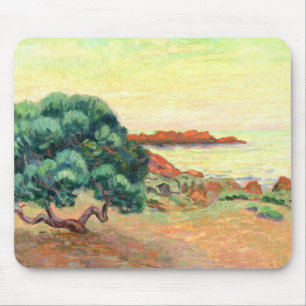 Midi Landscape, 1898 (oil on canvas) Mouse Pad