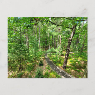 Midland Michigan nature trail Postcard