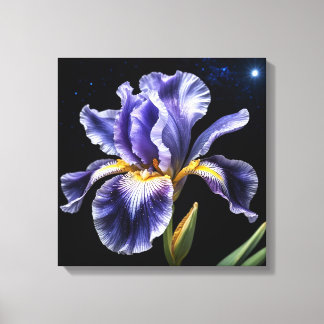 Midnight Bloom Iris Canvas Print