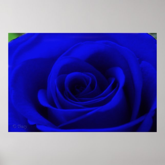 Midnight Blue Poster (Front)