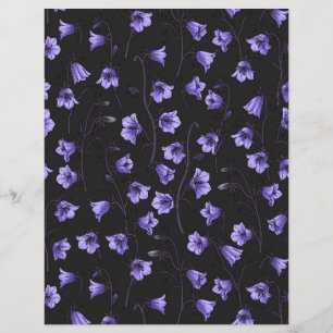 Midnight Bluebells, Harebells, Bellflowers