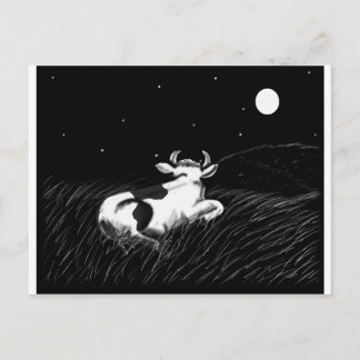 Midnight Cow Postcard