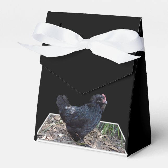 "Midnight Feathers: A Black Chicken in Popout Art" Favour Box (Front Side)