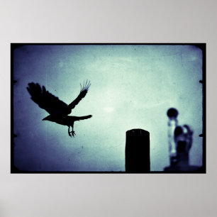 Midnight Flight of the Magpie Poster