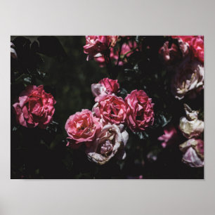 Midnight garden, dark floral art poster