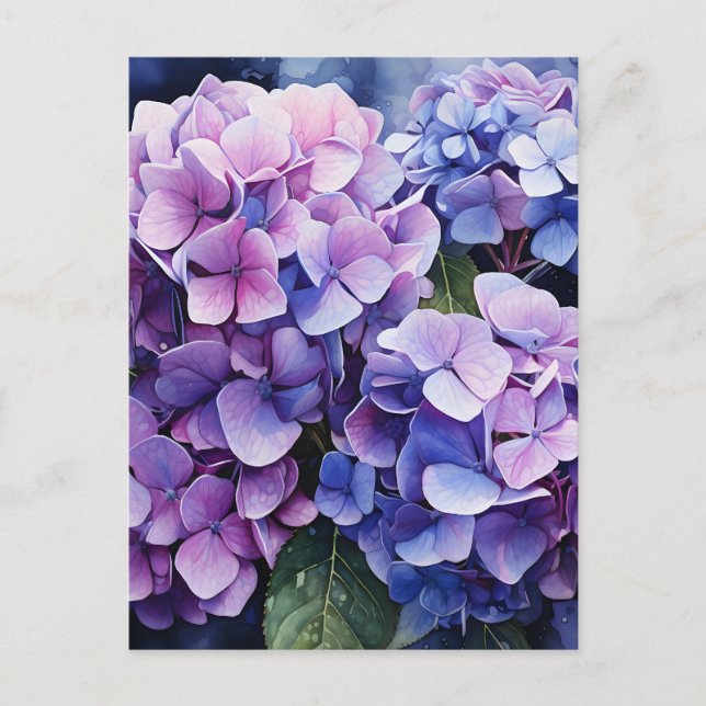 Midnight Garden Violet Hydrangea Watercolor Holiday Postcard (Front)