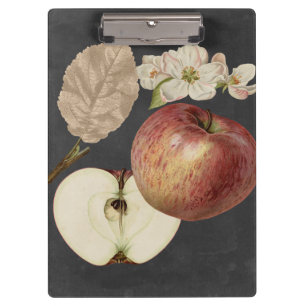 Midnight Harvest II Clipboard