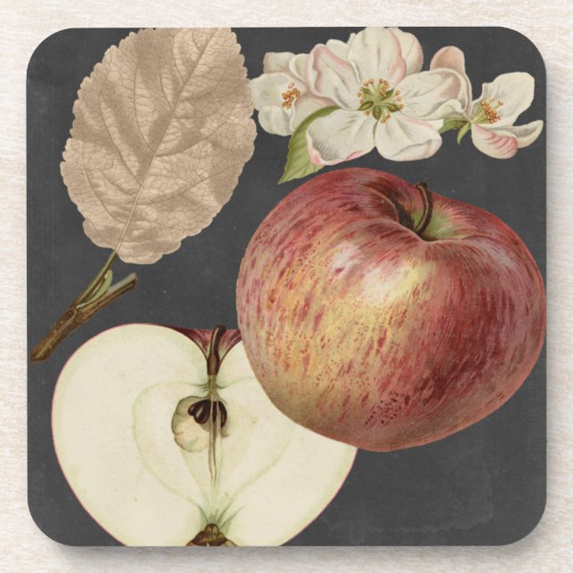 Midnight Harvest II Coaster (Front)