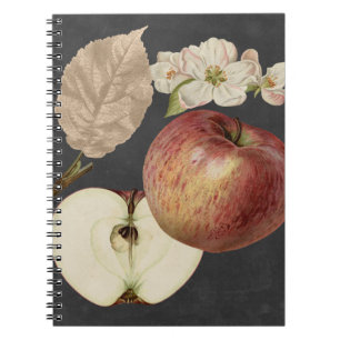Midnight Harvest II Spiral Notebook