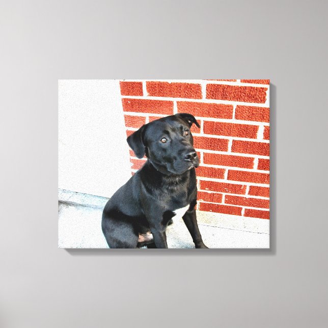 Midnight In A Pensive Mood Canvas Print (Front)