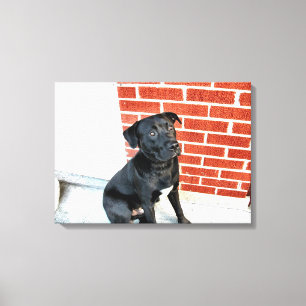 Midnight In A Pensive Mood Canvas Print