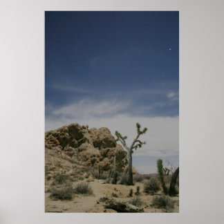 Midnight in the Mojave Poster