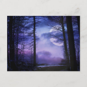 Midnight Moon - Indigo Postcard