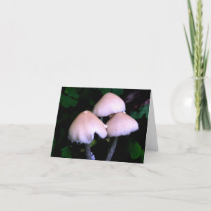 Midnight Mushrooms Nature Photography  Note Card
