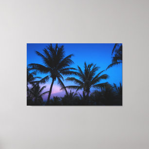 Midnight Palms Canvas Print