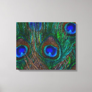 Midnight Peacock Feathers Etching Style Decor
