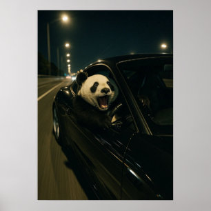 Midnight Ride – Funny Panda in a Sports Car Wall A Poster